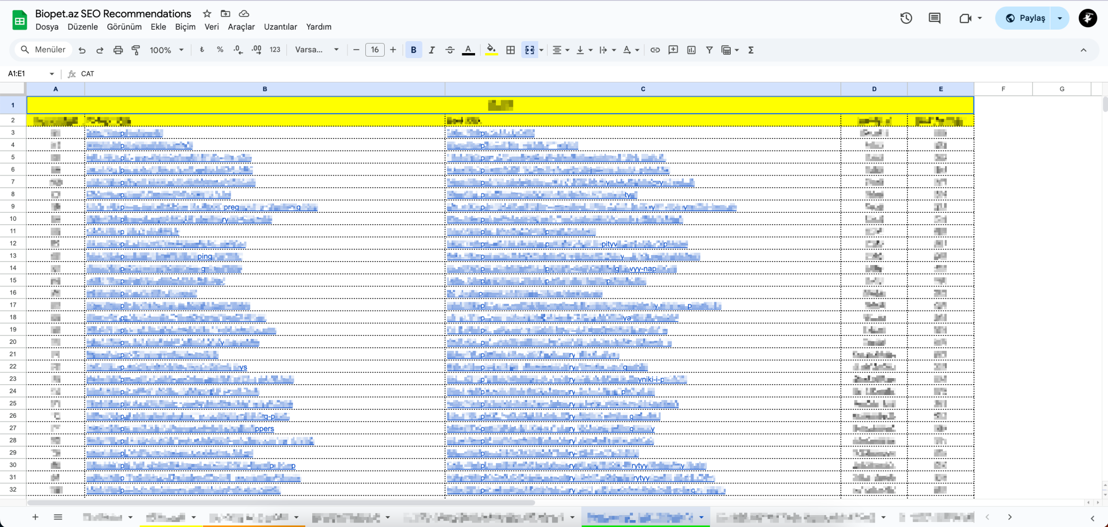 Biopet.az SEO Audit
