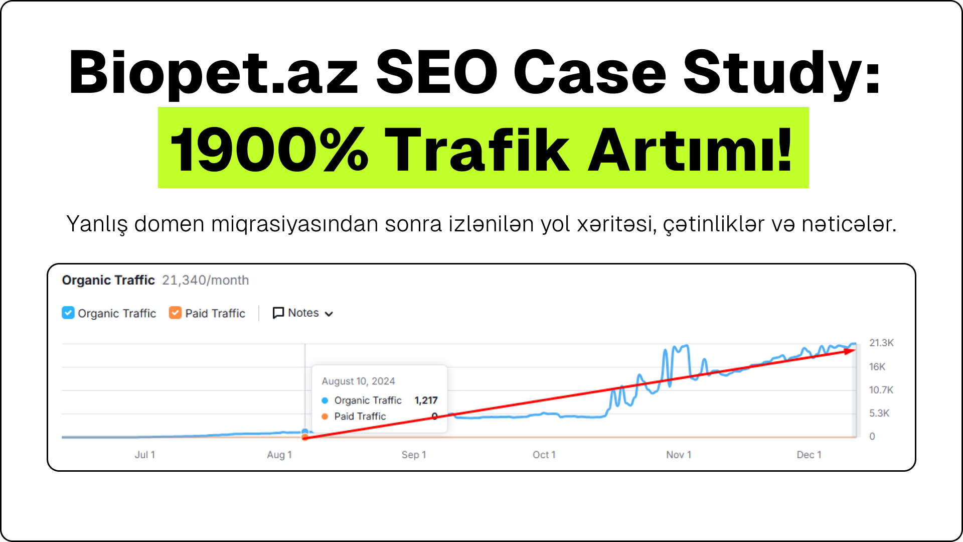 SEO Xidməti, SEO Xidmeti - İsmail Yusibov SEO Mütəxəssisi 7 Biopet SEO Case Study 7